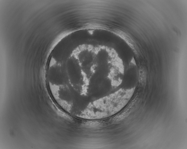 X0000112001094200908311109