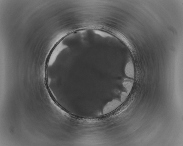 X0000112001095200908311109