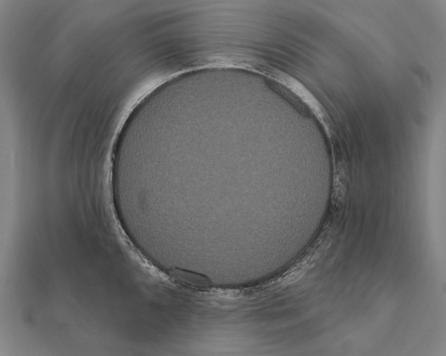 X0000112001096200908311109