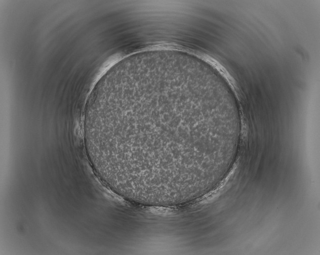 X0000112001097200908311109