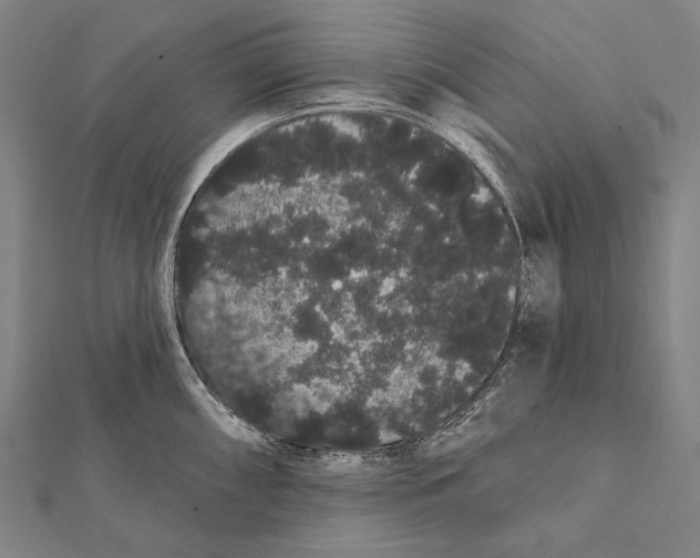 X0000112001098200908311109