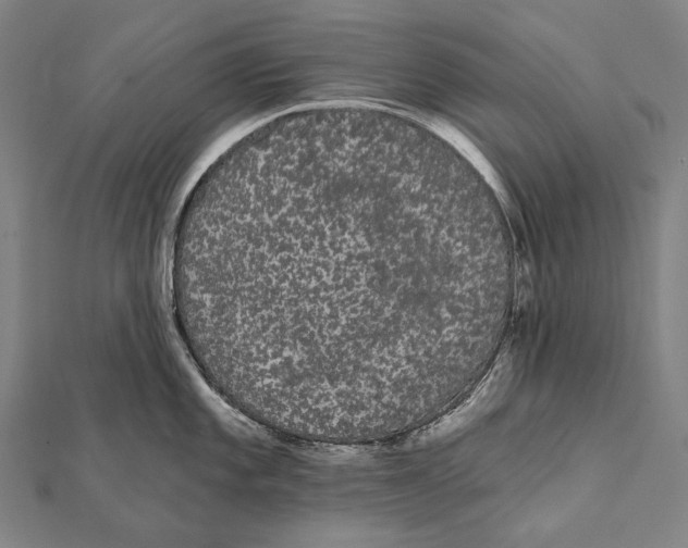 X0000112001101200908311109