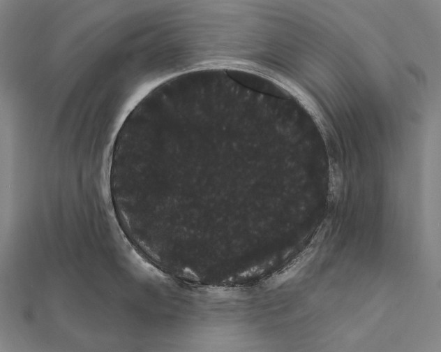 X0000112001102200908311109