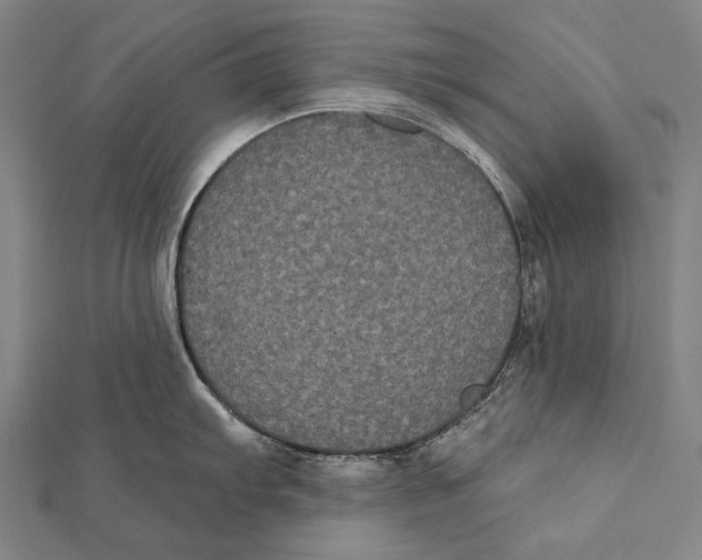 X0000112001103200908311109