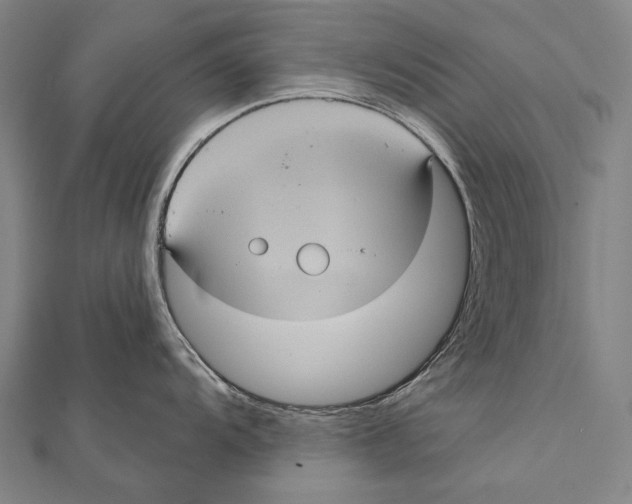 X0000112001104200908311109