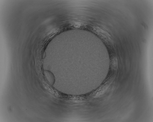 X0000112001105200908311108