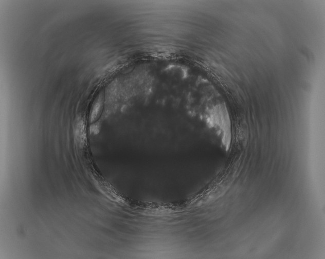 X0000112001106200908311108