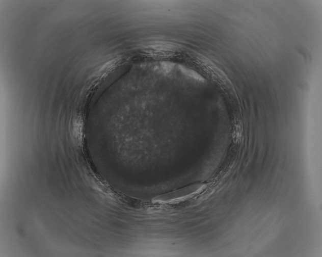 X0000112001108200908311108