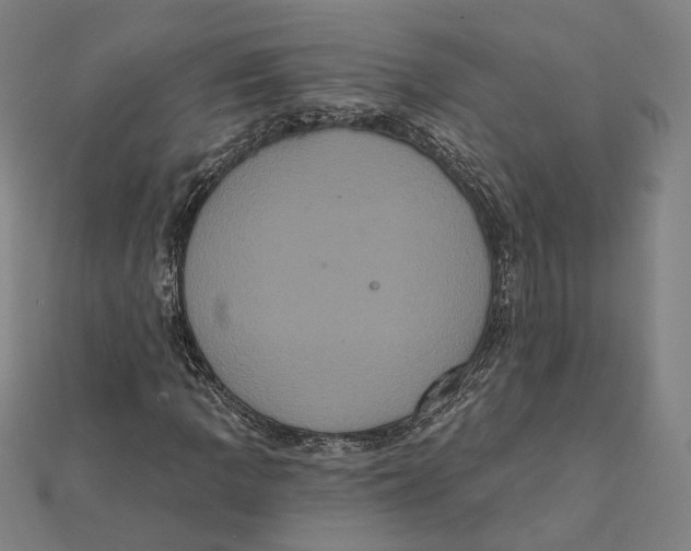 X0000112001109200908311108