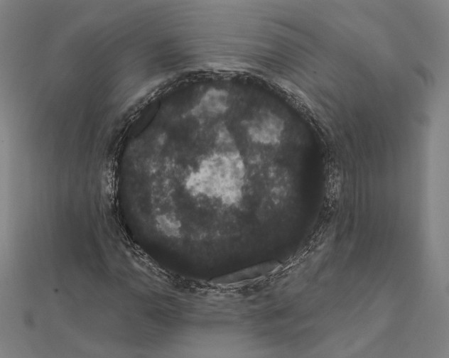 X0000112001110200908311108