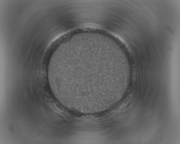 X0000112001112200908311108