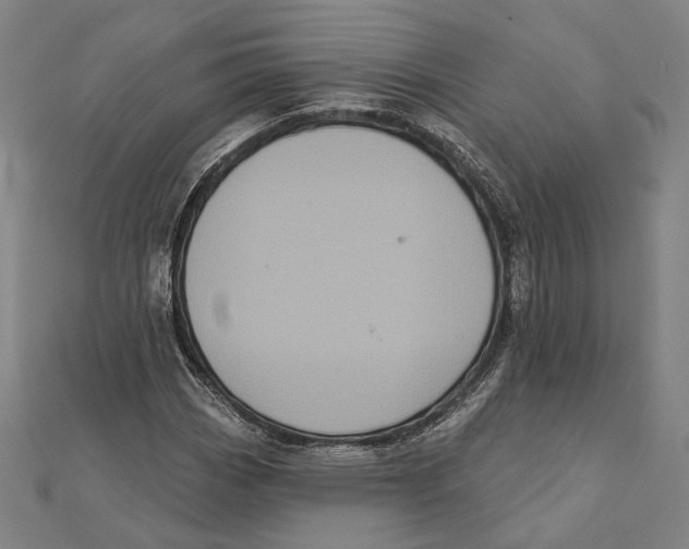 X0000112001113200908311108