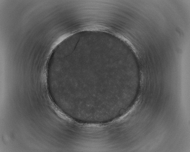 X0000112001114200908311108