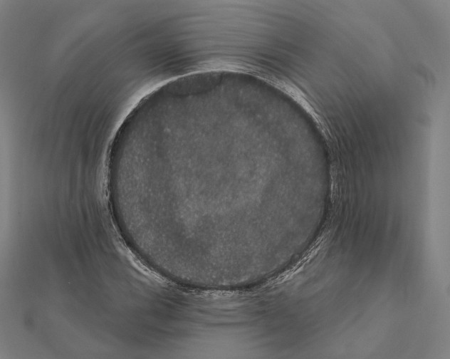 X0000112001116200908311108