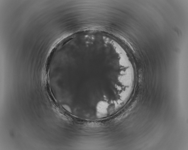 X0000112001117200908311108