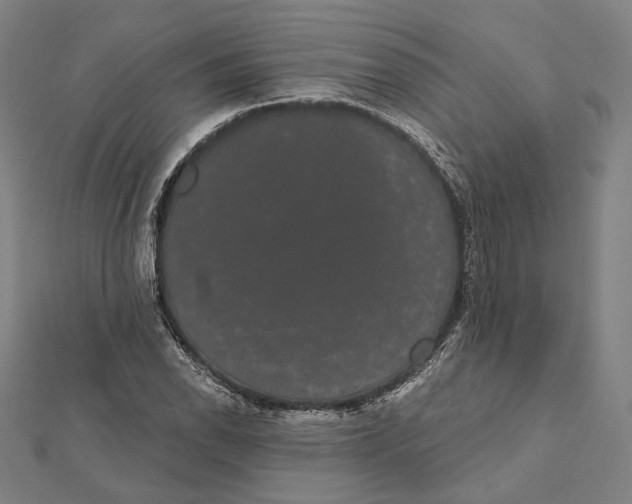 X0000112001118200908311108