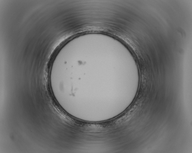 X0000112001119200908311108