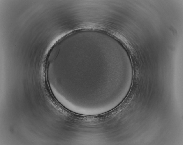 X0000112001120200908311108