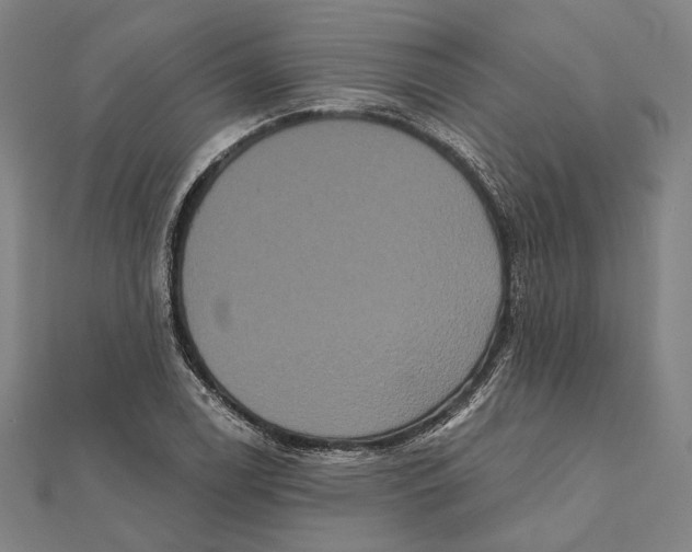 X0000112001122200908311108