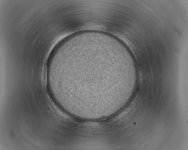 X0000112001123200908311108