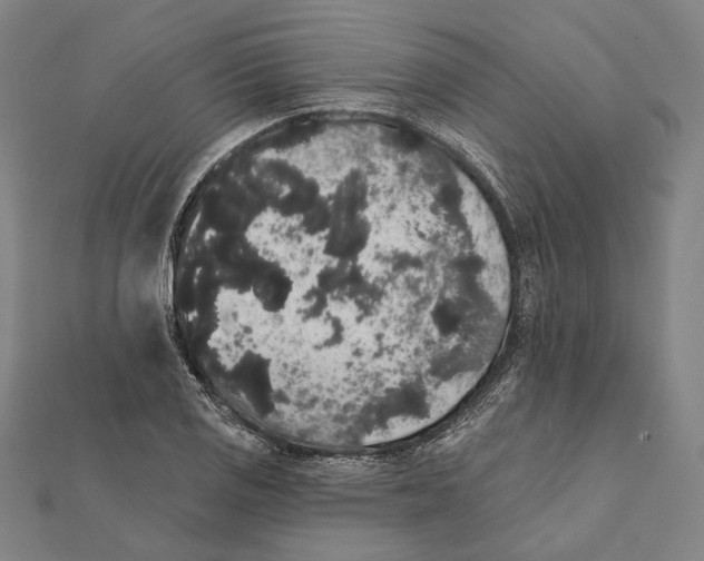 X0000112001125200908311108