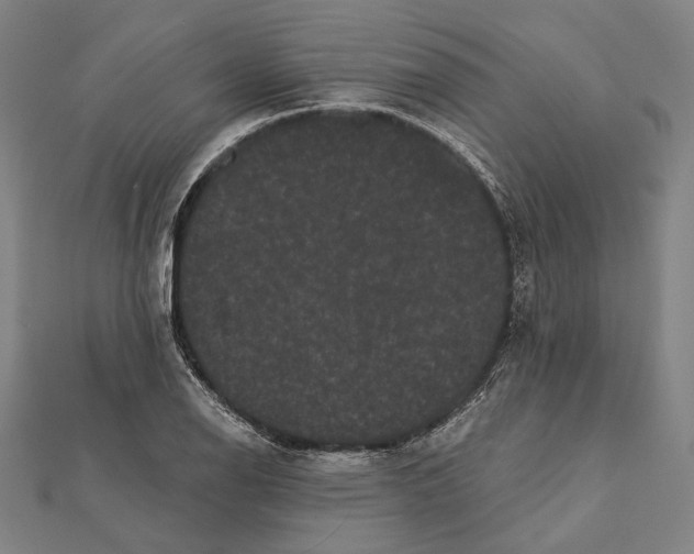 X0000112001126200908311108