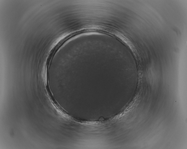 X0000112001127200908311108