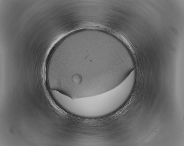 X0000112001128200908311108