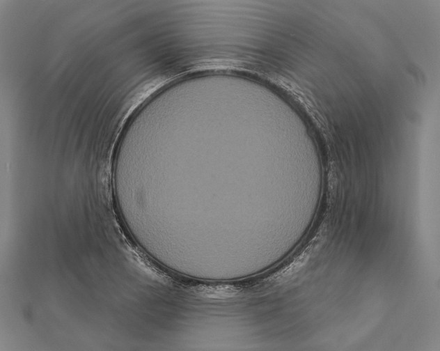 X0000112001129200908311108