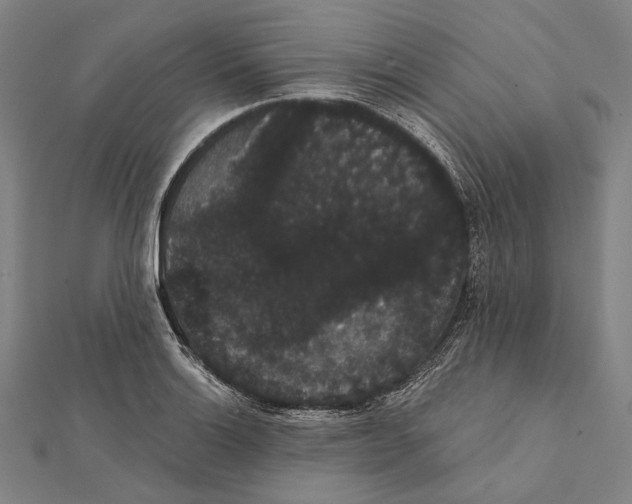 X0000112001132200908311109