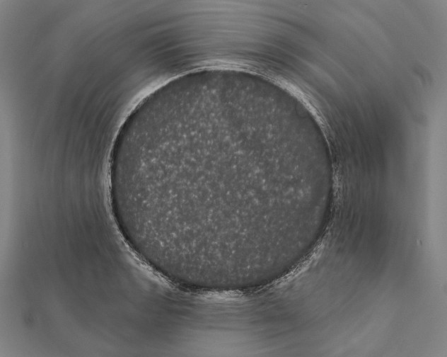 X0000112001133200908311109