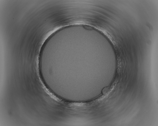 X0000112001134200908311109