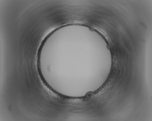 X0000112001135200908311109