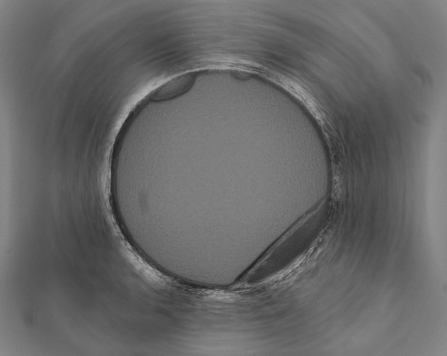 X0000112001136200908311109