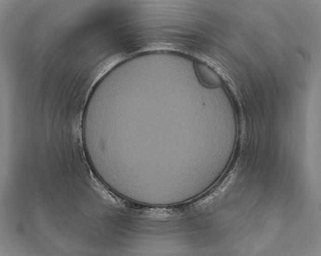 X0000112001137200908311109