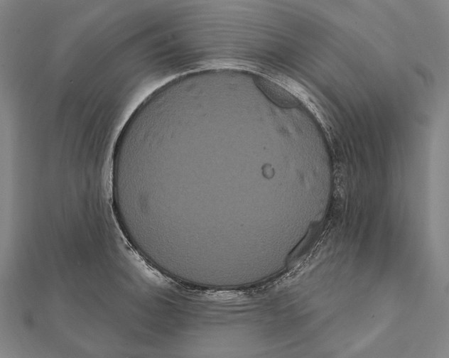 X0000112001140200908311109