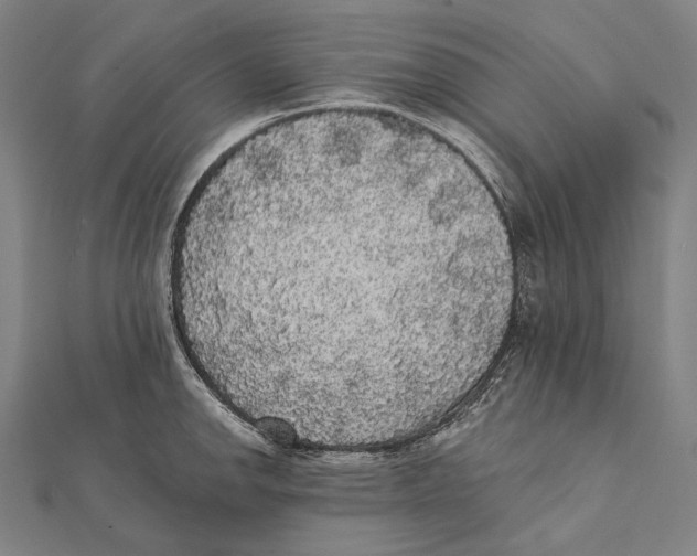 X0000112001142200908311109