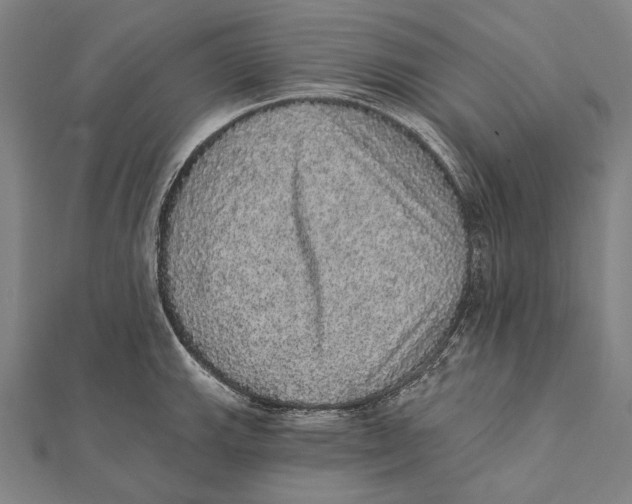 X0000112001143200908311109