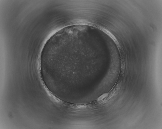 X0000112001144200908311109