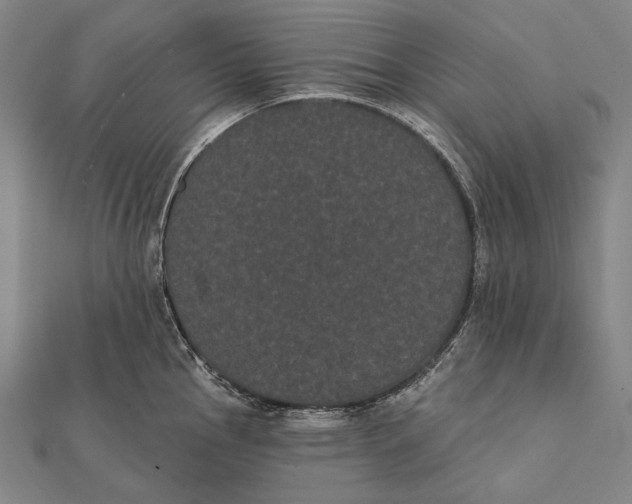 X0000112001145200908311109