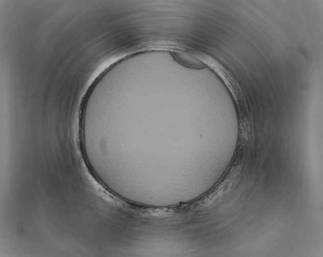 X0000112001147200908311109