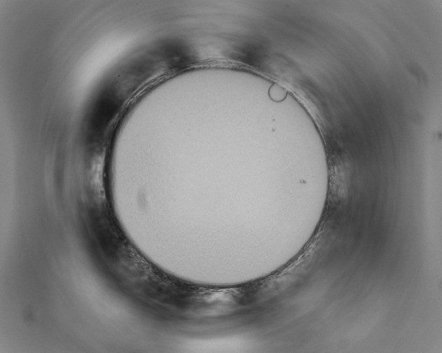 X0000112001150200908311109