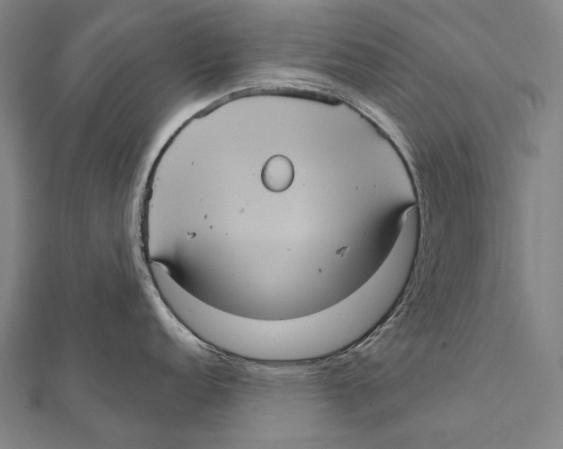 X0000112001152200908311109