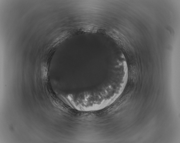 X0000112001154200908311108