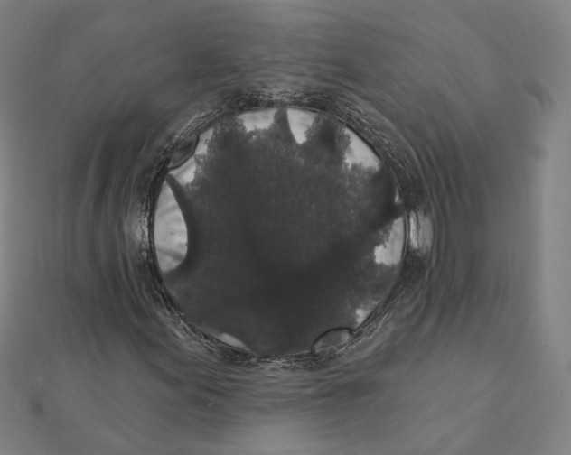 X0000112001155200908311108