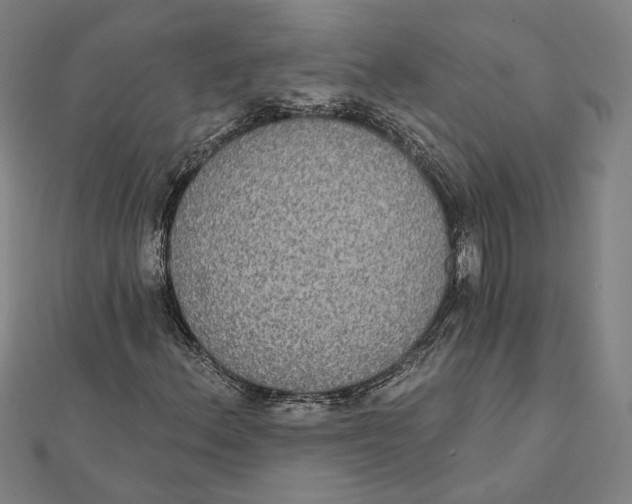 X0000112001156200908311108