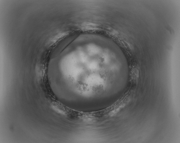 X0000112001157200908311108