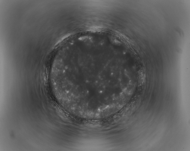 X0000112001158200908311108