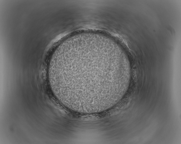 X0000112001159200908311108