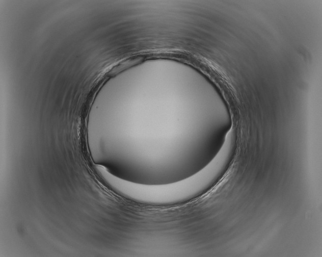 X0000112001161200908311108